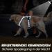 Eyin Adjustable Dog Harness for Large Dogs - Breathable Reflective Padded with Handle | Perfect for Daily Training (Blue L) - Buy Online on GoSupps.com