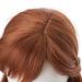 Princess Anna Cosplay Wig - Olaf's Adventure Brown Braid 70cm Synthetic Hair + Wig Cap - Buy Online on GoSupps.com