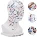 High-Quality Gleavi Acupuncture Point Model - Human Head Massage Model - PVC Acupuncture Head Model 22x12x8cm for Effective Head Massage - Buy Online on GoSupps.com