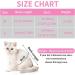 cobee Cat Professional Recovery Suit for Abdominal Wounds or Skin Diseases Cat Surgery Recovery Suit Soft E-Collar Cone Alternative Onesie for Cats After Surgery Pajama Kittens Suit(Pink M Size) - Buy Online on GoSupps.com