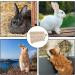 Wood Rabbit Hay Feeder Less Wasted Wooden Food Feeding Rack Biting Resistant Pet Wooden Hay Manger for Rabbit Guinea Pig Chinchilla Hamster - Buy Online on GoSupps.com