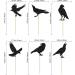 24Pcs Black Crow Cupcake Toppers Glitter Raven Halloween Cupcake Picks for Horror Crow Halloween Theme Birthday Party Cake Decorations Supplies - Buy Online on GoSupps.com