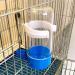 Automatic Bird Waterer Feeder Bird Water Dispenser for Cage 2PCS No Mess Bird Feeder Parakeet Waterer Cockatiel Cage Accessories(2 pack) - Buy Online on GoSupps.com