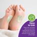 Metatarsal Felt Foot Pad - 1/4 Thick - 6 Pairs (12 Pieces) - Orthopedic Support for Foot Pain - Buy Online on GoSupps.com