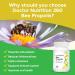 Dr. Nutrition 360 - Bee Propolis 500 mg 100 Capsules - 100% Natural Non-GMO Hypoallergenic - Buy Online on GoSupps.com