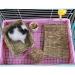 Grass Mat Woven Bed Mat for Small Animal Bunny Bedding Nest Chew Toy Bed Play Toy for Guinea Pig Parrot Rabbit Bunny Hamster Rat(Pack of 3) (3 Grass mats) Basic - Buy Online on GoSupps.com