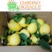 L'Idaeale Farm Untreated fresh lemons untreated lemons 9 kg edible peel guaranteed Giardino Digital Products in Calabria Made in Italy - Buy Online on GoSupps.com
