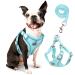 Rennaio dog harness no pull adjustable puppy dishes with 2 linen clips ultra breathable padded chest harness and leash set for small and medium-sized dogs (cyan m) cyan M