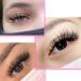 TDANCE Premade Spikes Eyelash Extensions - 0.07 D Curl Mix 14-19mm Matte Black - 240 Piece Assortment for Professional Use - Buy Online on GoSupps.com