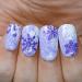 AIMEILI Ceratostigma Plumbaginoides (123) 10ml Soak Off UV LED Gel Nail Polish - Buy Online on GoSupps.com