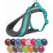 Buy TRIXIE Premium Touring Harness Indigo L-XL | International Shipping Available - Buy Online on GoSupps.com