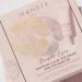 Wander Beauty Bright Eyes Baggage Claim Set - Award-Winning Under Eye Masks & Eye Cream - Best Clean Beauty Gift for Brighter Under Eyes - International Shipping Available - Buy Online on GoSupps.com