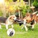 Shop Bojafa Indestructible Dog Toys - 4 Pack Soft Plush Durable & No Filling for Small to Large Dogs | Perfect for Boredom Relief - Buy Online on GoSupps.com