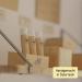 Propolis Lip Balm - Natural Beeswax Lip Care | Vom Reiter (6g) - Shop Internationally - Buy Online on GoSupps.com