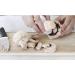 Full Circle FunGuy 2-in-1 Mushroom Cleaning Brush - Eco-Friendly White Brush - Buy Online on GoSupps.com