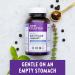 New Chapter One Daily Multivitamin + Immunity | Enhanced Immune Support with Vitamin C, D3, Zinc & Holy Basil | 30 ct - Buy Online on GoSupps.com
