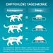 Purina One Bifensis Sterilcat Dry Cat Food - Beef Flavor 6 Pack (6 x 750g) - Ideal for Sterilized Cats - Buy Online on GoSupps.com