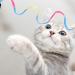 Amaxiu Cat Wand Toy Set Interactive Cat Wand Toy with Rainbow Ribbon String Rainbow Cloth String Leopard Print Cloth String for Small Cats Kittens Indoor Training Catcher(3 Packs) - Buy Online on GoSupps.com