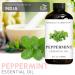 Brooklyn Botany Peppermint & Eucalyptus Essential Oils 4 Fl Oz (Pack of 2) 100% Pure & Natural Premium Grade Aromatherapy Oils Sinus Relief Blend - Buy Online on GoSupps.com