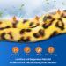 Willcom Neck Support for Pain Relief - Soft & Comfortable Sleep Aid Aligns Vertebrae Stabilizes Spine (M Leopard Pattern) - Shop Now! - Buy Online on GoSupps.com