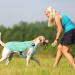 Kuoser Cool Vest for Dogs | Cooling Jacket & Coat for Outdoor Activities | Ventilated Dog Cooling Vest in Green - Buy Online on GoSupps.com