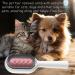 Universal Cat Brush for Long & Short Haired Cats - Cats Ridge Water Brush & Hair Remover | Rosa - Buy Online on GoSupps.com