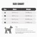 Dotoner Dog Lifting Harness - Support for Injured & Handicapped Dogs | Soft Loop for Small Medium & Large Breeds | Gray Size S (1 Pack) - Buy Online on GoSupps.com
