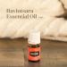 Ravintsara Essential Oil 5ml by Young Living - Soothing Eucalyptus Oil for Yoga Meditation & Healthy Skin | International Shipping - Buy Online on GoSupps.com