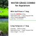Freshwater Aquarium Plant Seeds Combo - Mini Leaf & Longhair Grass, Small Pearl - Fish Tank Terrarium Decor - Buy Online on GoSupps.com