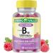 Spring Valley B12 Vitamins 5000 mcg 120 Jelly Beans - Energy Support - Fusion Shop Store Exclusive - Buy Online on GoSupps.com