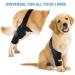 Dog ACL Knee Brace Brace Behind Leg - Brace Behind Leg Neoprene Hip Brace Adjustable Traction Belt Stabilizer for Torn ACL Leg M right - Buy Online on GoSupps.com