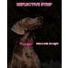 Buy PETTOM Adjustable Nylon Dog Collar - Breathable & Reflective XS Pink for Small Dogs - Buy Online on GoSupps.com