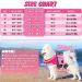 Buy Emust Dog Vest - High Buoyancy Life Jacket for Large Dogs | Adjustable Dog Chiming Vest for Boxers Basset Hounds & More in Pink - Buy Online on GoSupps.com