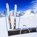 PENGDA Eco Alpine Ski Bag 185CM | Water-Resistant Polyester Ski Bag for Travel | Adjustable Length & Durable - Buy Online on GoSupps.com