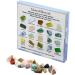 JSDDE Mineral Rock Variety Tumbled Rough Gemstone Meteorite Fragment Healing Energy Crystal Collection Box (20 pcs Rough Mini Stones Kit) - Buy Online on GoSupps.com