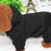 Lifewheel Dog Coat & Sweater | Warm Winter Pet Clothing for Small Dogs & Cats | Black Hooded Costume (M) - Buy Online on GoSupps.com