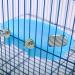 Mirrored Bird Bath for Small Parrots & Parakeets - Bathtub Shower Accessories 7.4x3.9x1.4inch - Buy Online on GoSupps.com