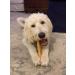 EcoKind Gold Yak Dog Chews | Grade A Healthy & Odorless Treats for Dogs - Buy Online on GoSupps.com