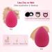 DUAIU Beauty Blenders 6PCS Makeup Sponge Set - Non-Latex Foundation Sponge for Liquid, Creams, and Powders - Buy Online on GoSupps.com