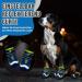 Eyein Dog Shoes - Water Repellent Paw Protection with Non-Slip Sole | Reflective Velcro Fastener | Outdoor Sports for Small Medium & Large Dogs - Size 4 (Width 5.2 cm) - Buy Online on GoSupps.com