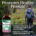 Nature's Answer Saw Palmetto Berry Extract - Prostate Support & Hair Loss Relief | 1 oz Herbal Supplement - Buy Online on GoSupps.com