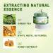 Moisturizing and Nourishing Exfoliating Hand Mask Hand Mask Green Tea Hand Wax Callus Removal Rejuvenation and Firming Paraffin Wax for the - Buy Online on GoSupps.com