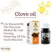 Elhawag Clove Oil Natural Cold Pressed El Hawag Pure Fresh Egyptian Al Hawaj Premium Arab Perfect Arabic No Gmo Kosher Halal (1 Pack 1.01 oz / 30 ml)  - Buy Online on GoSupps.com