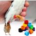 100 Bird Identification Rings - Pigeon Footrings Parrot Leg Bands & Poultry Marking Tape - 8mm Clamping Rings for Chickens Quail & More - Buy Online on GoSupps.com