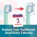 Toothbrush Replacement Heads for Colgate Hum - Compatible Smart Battery Electric Brush Heads (10 Count) - Green - Buy Online on GoSupps.com