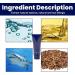 Men Per_manent Cr me d pilatoire pour barbe pour homme cr me d' pilation permanente cr me d pilatoire naturelle douce sans pa_inless - Convient pour le visage les jambes les bras (taille unique 1 1 pi ce. 60 ml (Lot de 1) - Buy Online on GoSupps.com