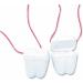 Disney Princess 9pc Oral Hygiene Bundle - Kids Soft Manual Toothbrush 6 Pack with Bonus Brushing Timers - Buy Online on GoSupps.com