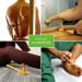Back Release Trigger Point Massager - Wooden Acupressure Stick for Whole Body Pain Relief Tension & Fascia Care | International Shipping - Buy Online on GoSupps.com