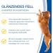 Nutrilabs IROSTOL Pellets for Dogs 150g | Dietary Supplements with MSM Biotin & Omega Fatty Acids | Essential Vitamins & Minerals for Dogs - Buy Online on GoSupps.com