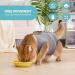 Avont Cat Recovery Suit - 2 Pieces Leak Protection Post-Op Clothing for Cat Wounds & Skin Diseases - Gray Small - Buy Online on GoSupps.com